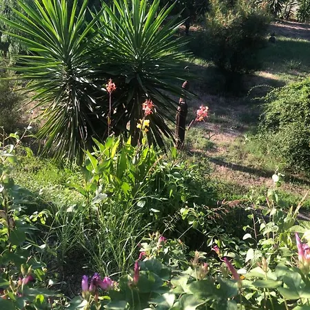El Rio,, La Casita One Of 2 Self Catering Studios. Pool And Hydrotherapy Jacuzzi *