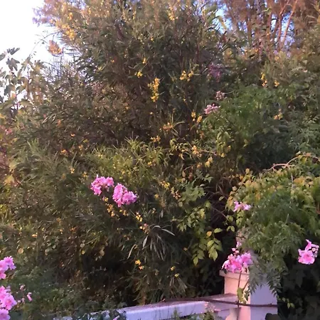 Apartment El Rio,, La Casita One Of 2 Self Catering Studios. Pool And Hydrotherapy Jacuzzi Malaga